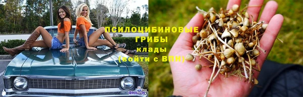 мескалин Аркадак