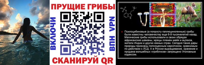 Псилоцибиновые грибы Magic Shrooms  KRAKEN ССЫЛКА  Куса  купить наркоту 
